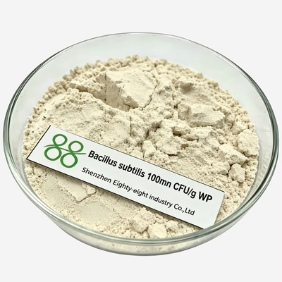 Bacillus Subtilis 20 миллиардов CFU Биологический пестицид